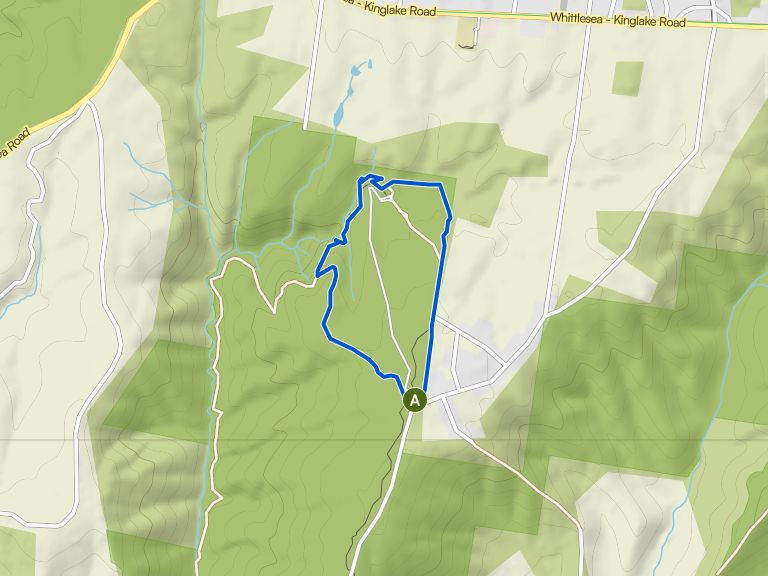 Masons Falls via Boundary Track & Wallaby Trail circuit | hike | Komoot